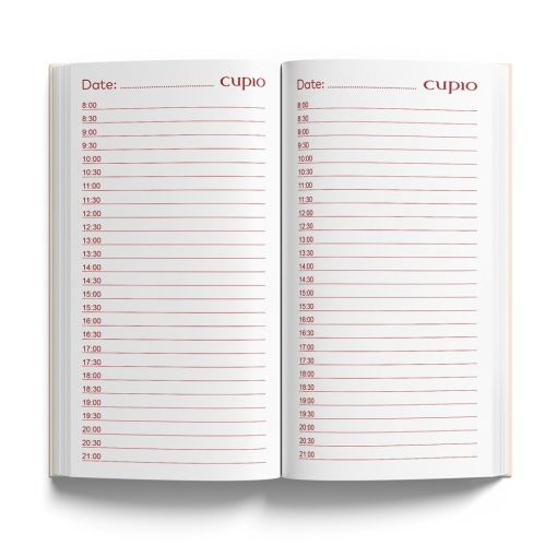 Leerer Tagesplaner mit stündlichen Zeitangaben von 8 bis 21